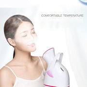 Gentle facial steamer for skin hydration and refreshment

