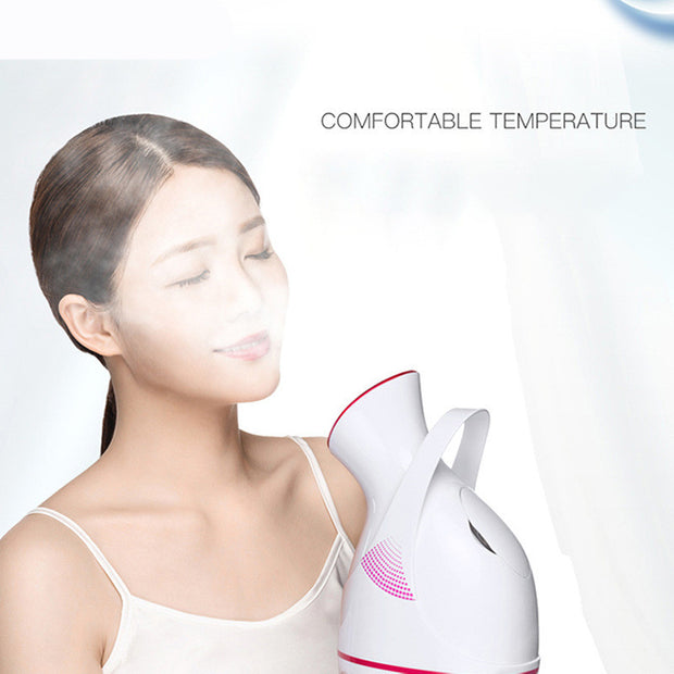 Gentle facial steamer for skin hydration and refreshment

